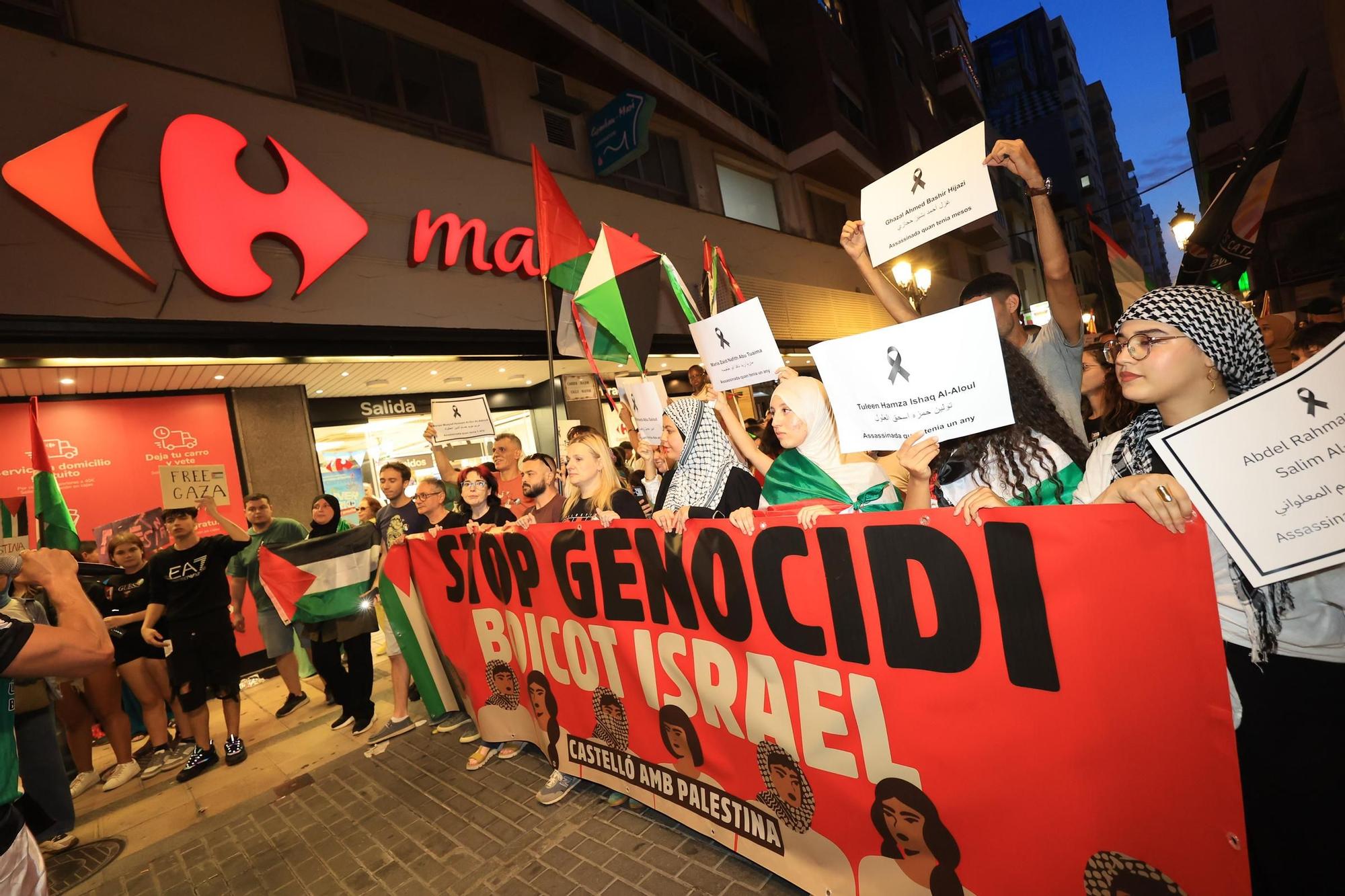 Galería de imágenes: Castellón sale a la calle en defensa de Palestina