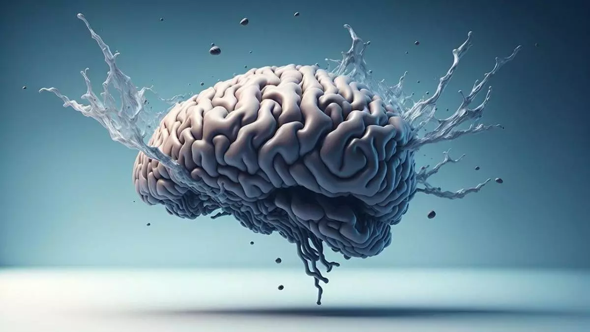El cerebro humano se forma a partir de dos sistemas nerviosos que luego se integran