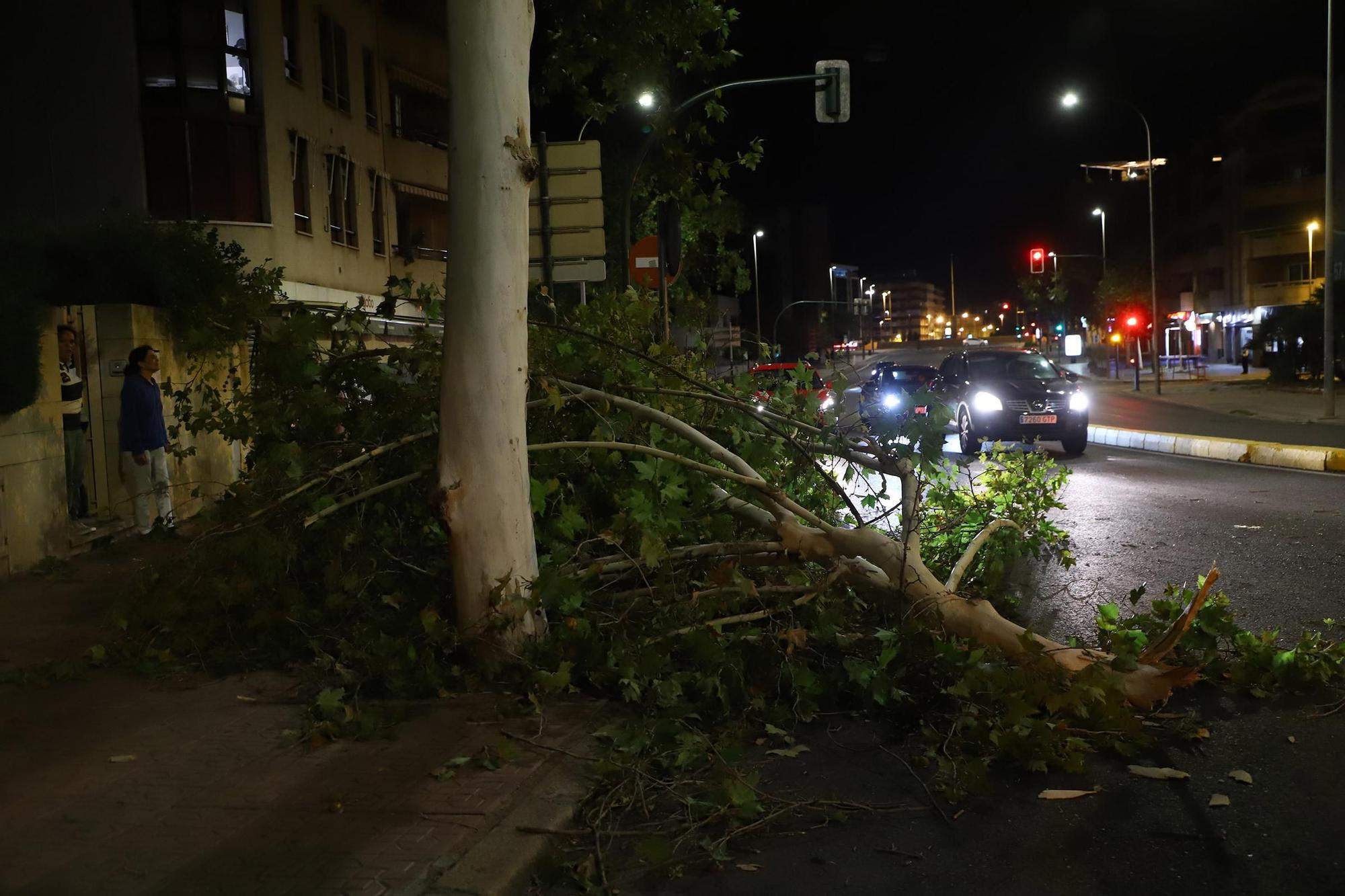 Los efectos del temporal en Córdoba, en imágenes