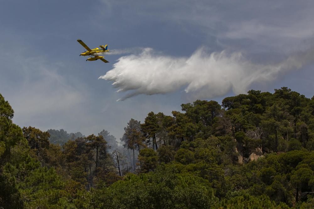 Incendi forestal en una urbanització de Lloret