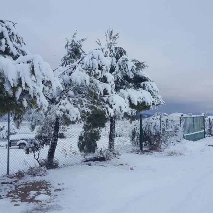 Nieve en las zonas altas de la Región