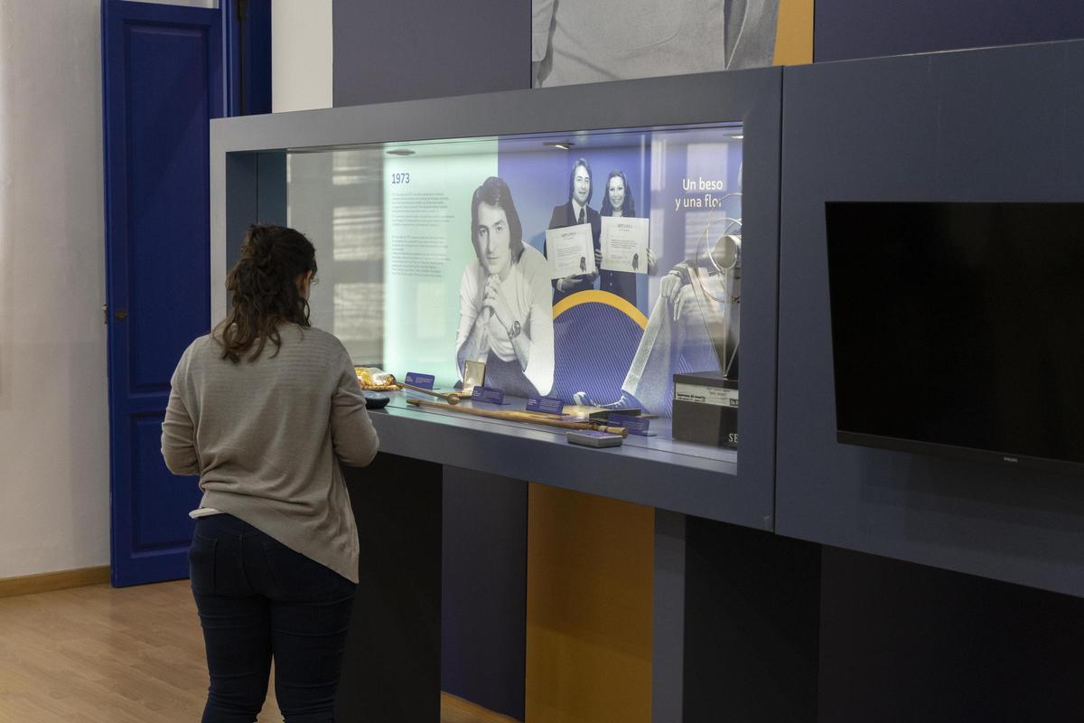 Estado en el que se encuentra actualmente el Museo de Nino Bravo en Aielo de Malferit