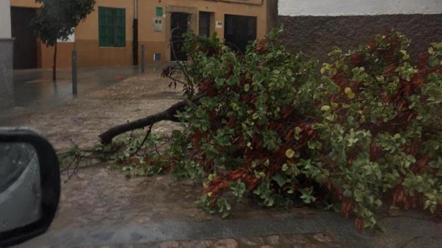 Fotogalería | Así afecta el temporal de lluvia y viento en Cáceres