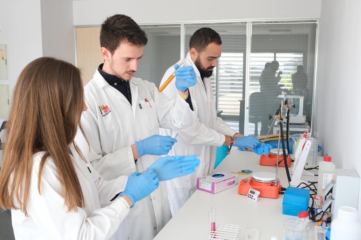 Los investigadores, en su laboratorio