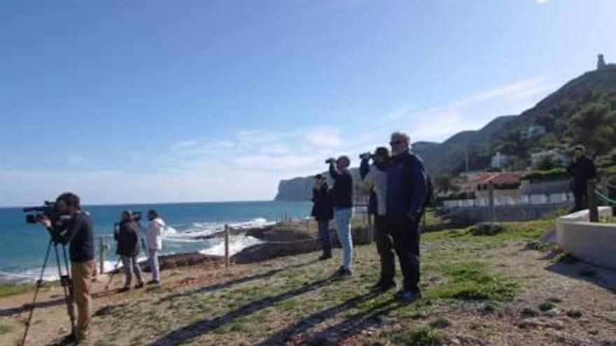 Ballenas al alcance de la mano en Dénia