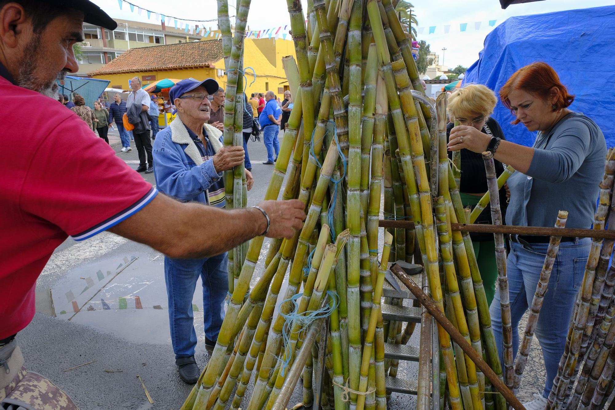 Feria de ganado y procesión en Jinámar