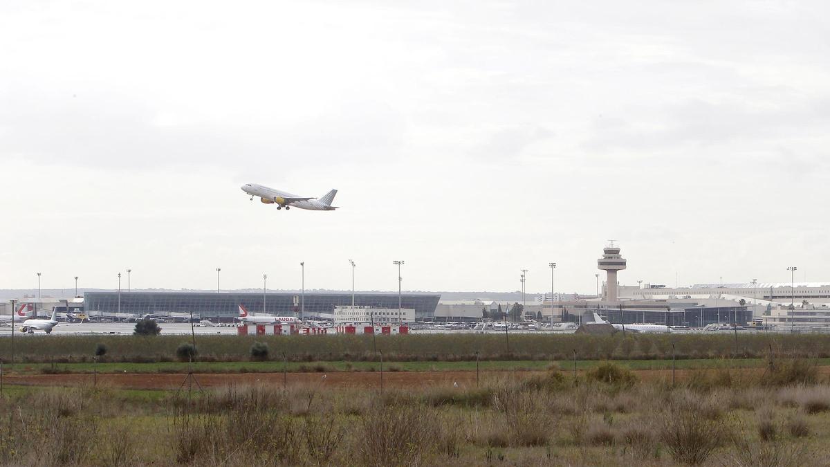 Un avión despega en el aeropuerto de Palma