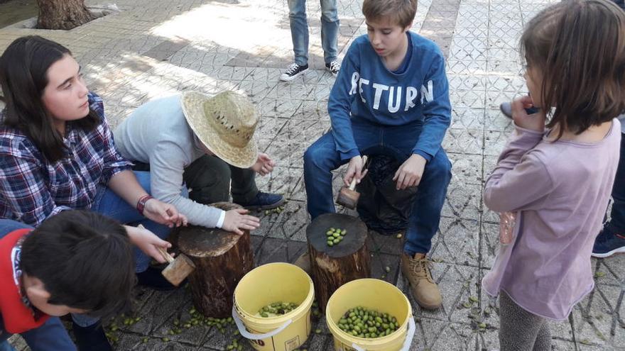 Fira de s&#039;Oliva de Caimari