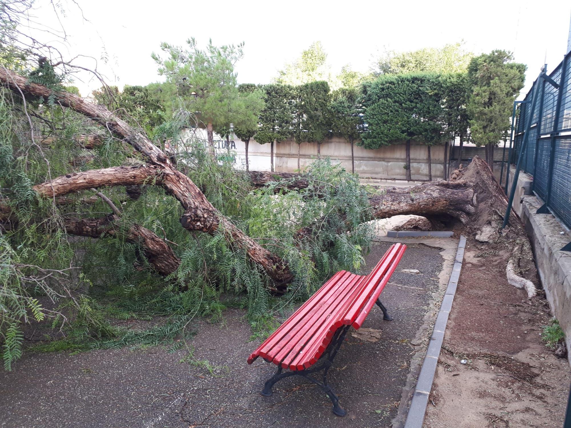 Las imágenes de los destrozos que deja el temporal en Murcia