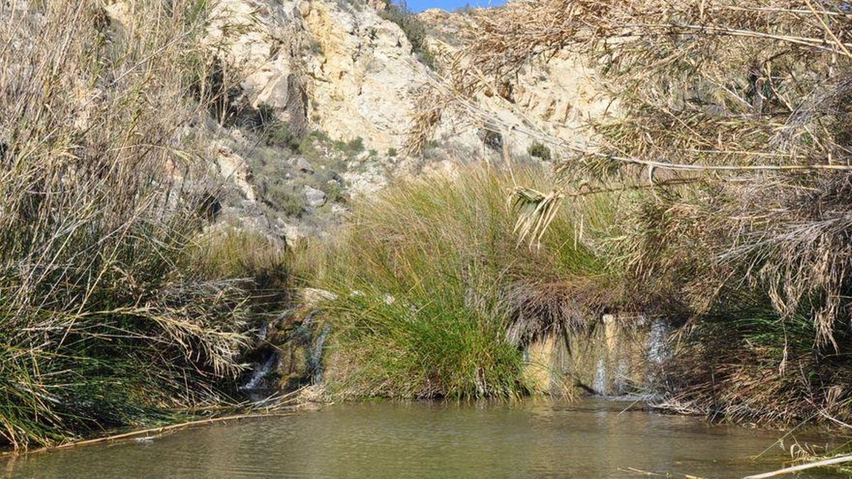 El Río Chícamo con su abundante vegetación