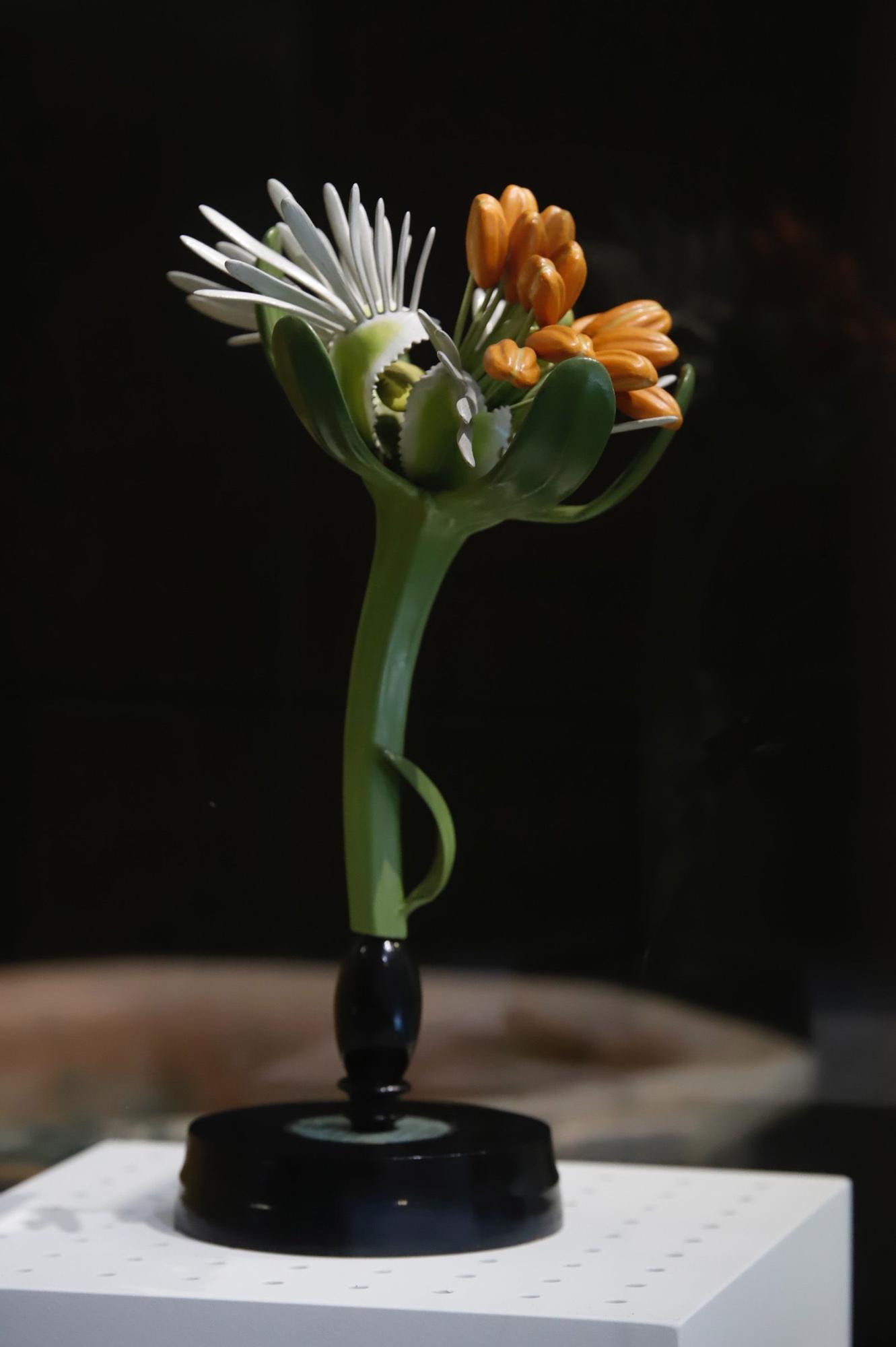 Flora expone el vínculo ancestral entre botánica y arqueología