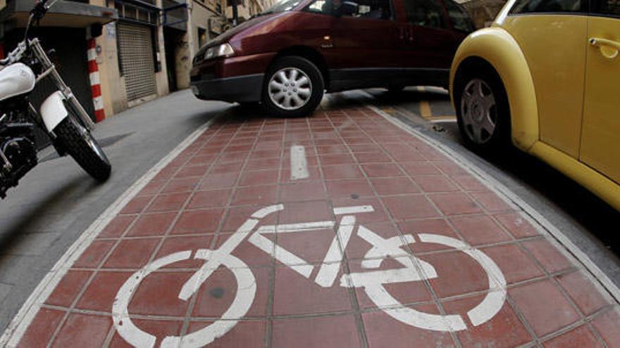 Una Agencia de la Bicicleta coordinará las propuestas e ideas sobre el carril bici