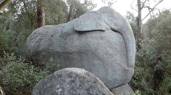 Elefant. Anecdòtic i curiós aquest enorme elefant de pedra, que provoca força admiradors quan te’l trobes mig amagat en ple bosc d’Òrrius, al Maresme