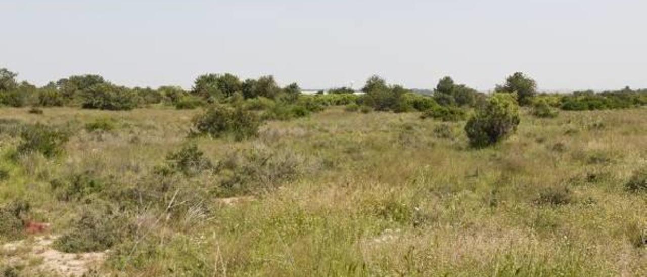 Los terrenos abandonados en Manises donde se tiene previsto desarrollar el parque logístico Greenspace, con el aeropuerto de fondo.