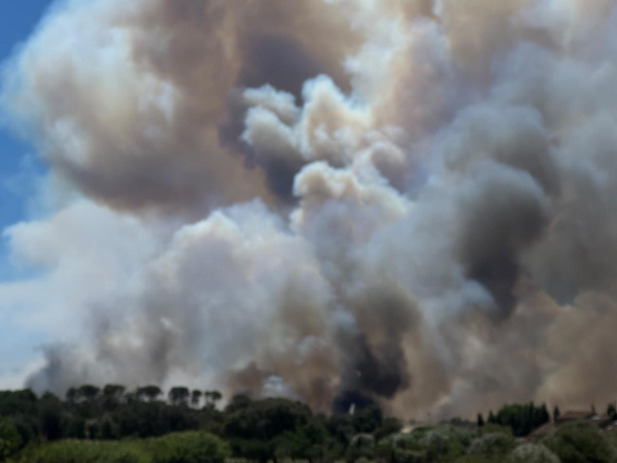 Crema sense control un incendi forestal a peu de les Gavarres a la Bisbal Crema sense control un incendi forestal a peu de les Gavarres a la Bisbal
