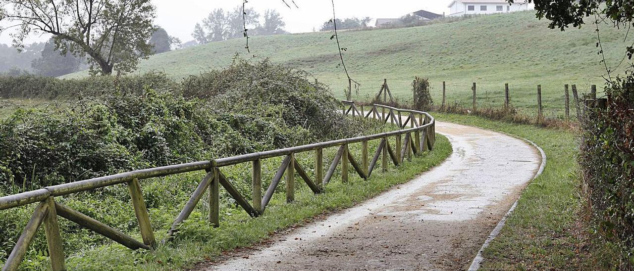 Un tramo de la senda fluvial, donde ocurrió la violación.