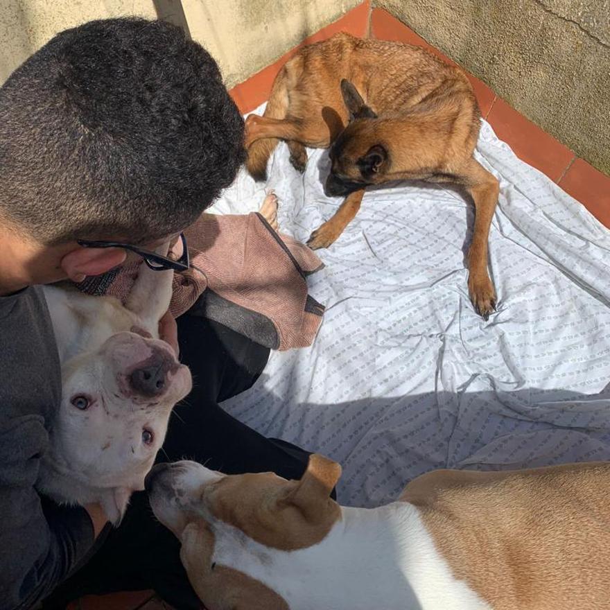 El joven que ha puesto en conocimiento de la protectora estos hechos junto a los dos animales tras recuperarlos.