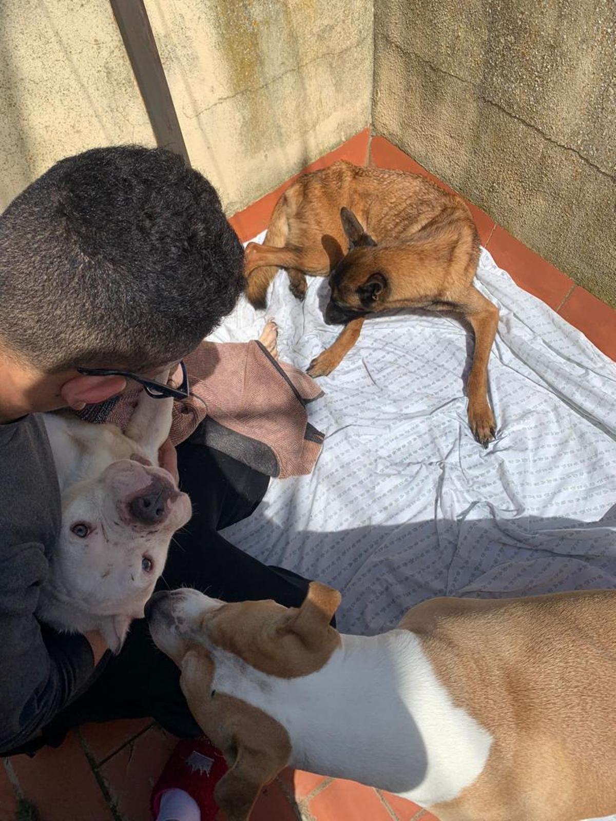 El joven que ha puesto en conocimiento de la protectora de estos hechos junto a los dos animales tras recuperarlos.