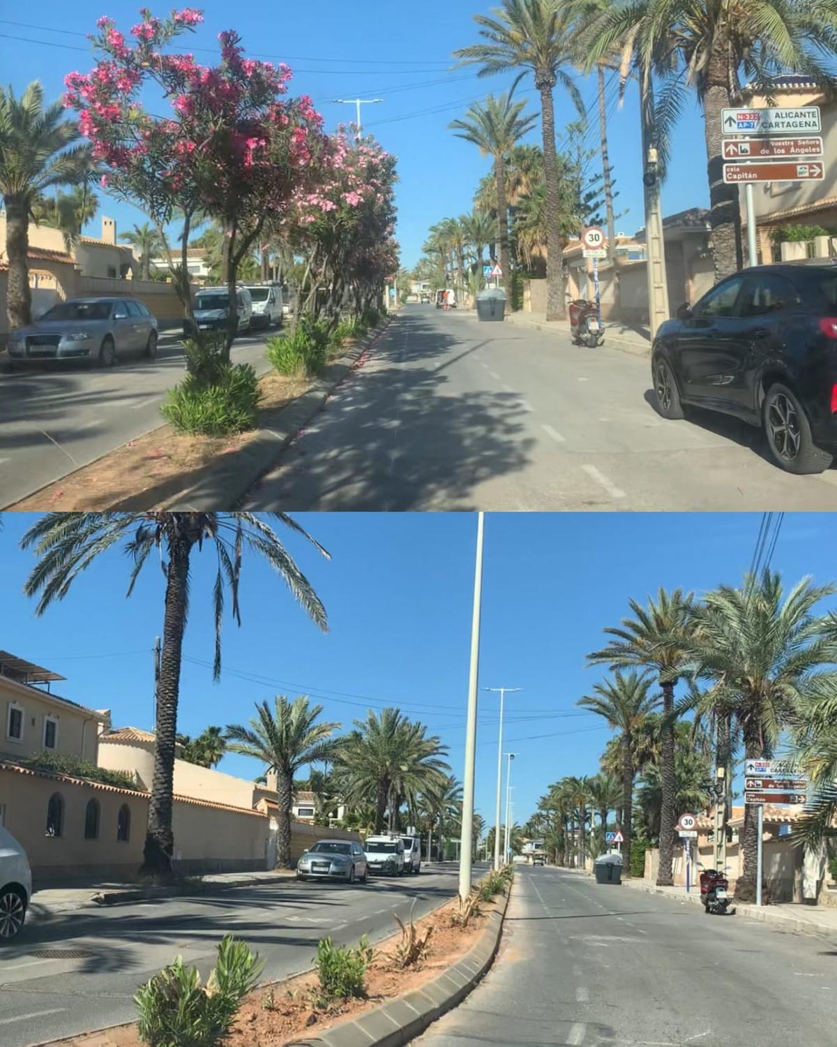 La tala que ha encendido a los vecinos de Cabo Roig en Orihuela Costa