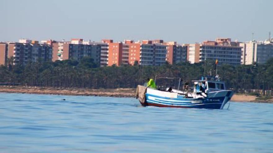 El Consell anuncia una reserva marina pesquera en Torrevieja