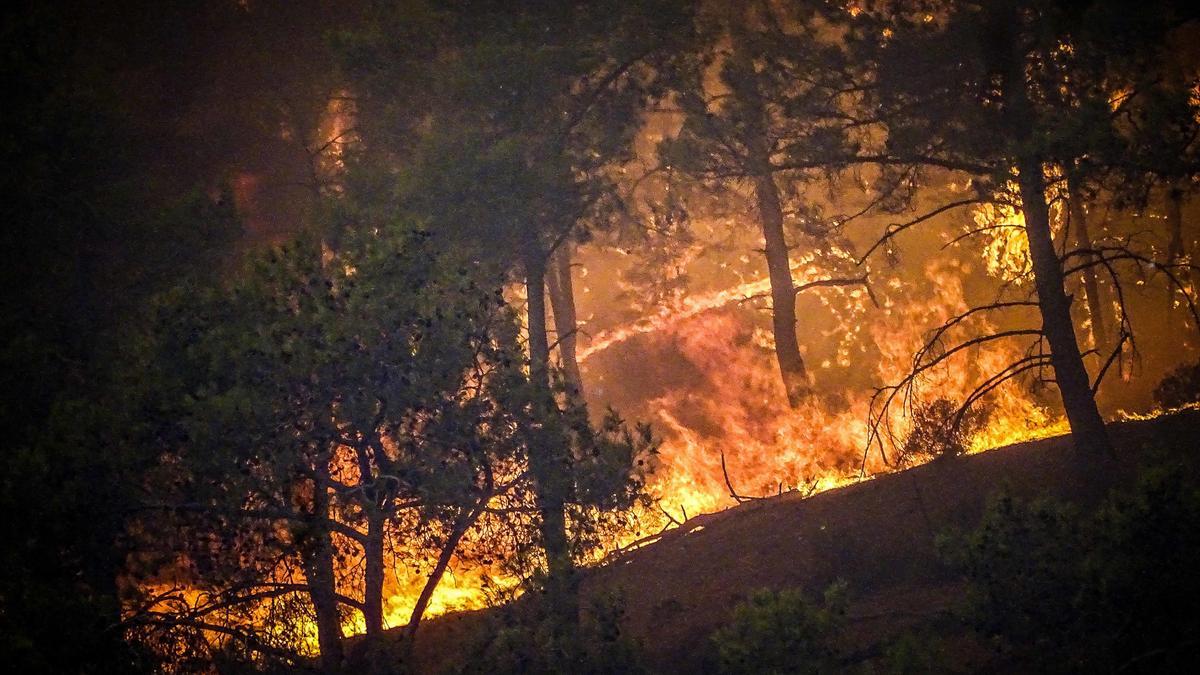 Incendio forestal en Rodas, Grecia.