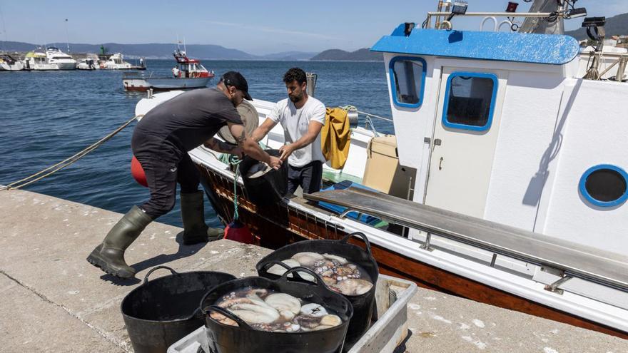 Descarga de pulpo en el puerto de Bueu.   | // JAVIE TENIENTE