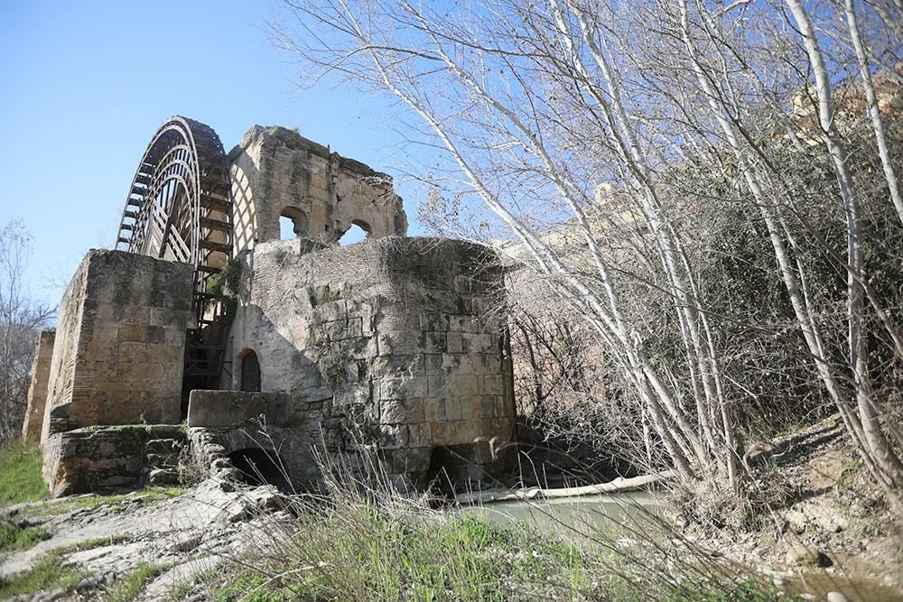 La Albolafia varada en el río