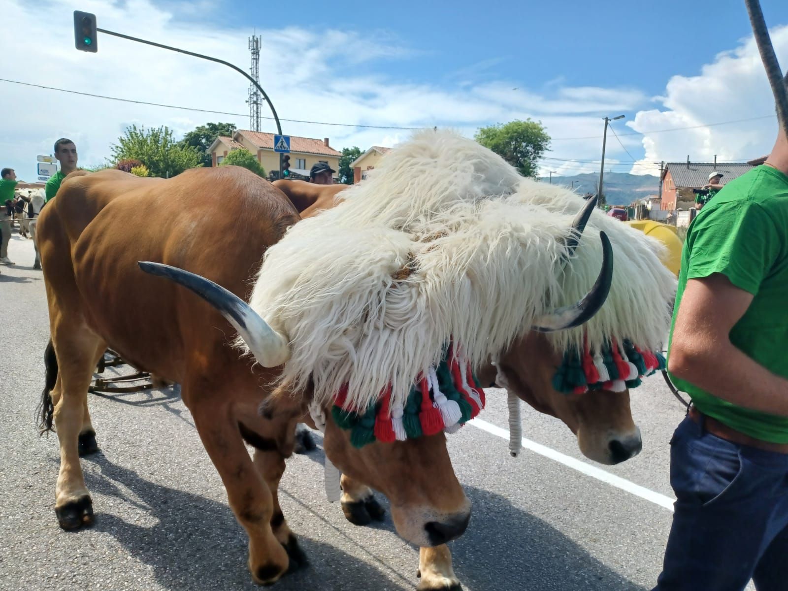 Espectáculo del campo en Llanera: el desfile de San Isidro llena las calles de la mejor tradición ganadera