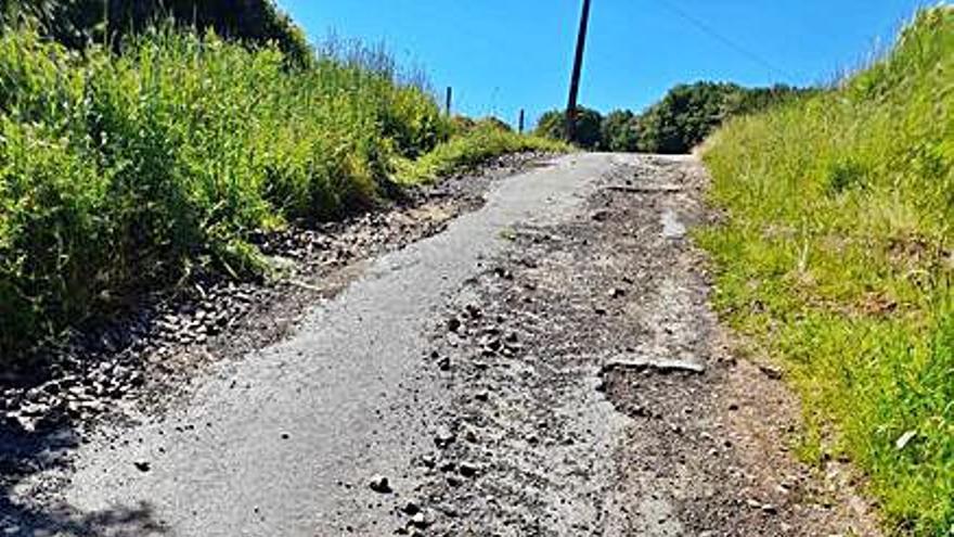 Camino en Anseán.