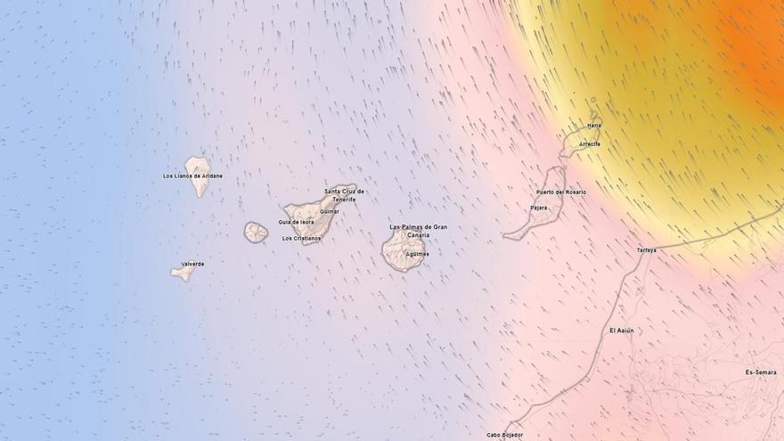 Canary Islands Forecast: Rising Temperatures and Haze Expected This Week