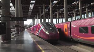 Así son los nuevos trenes AVLO lilas que se estrenan el 21 de mayo