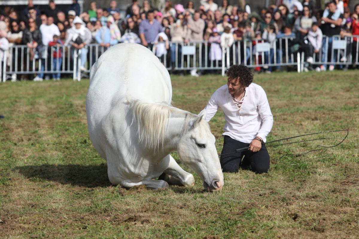 La XXXV Feira do Cabalo de Lalín cerró ayer su segunda y última jornada con una notable afluencia de público