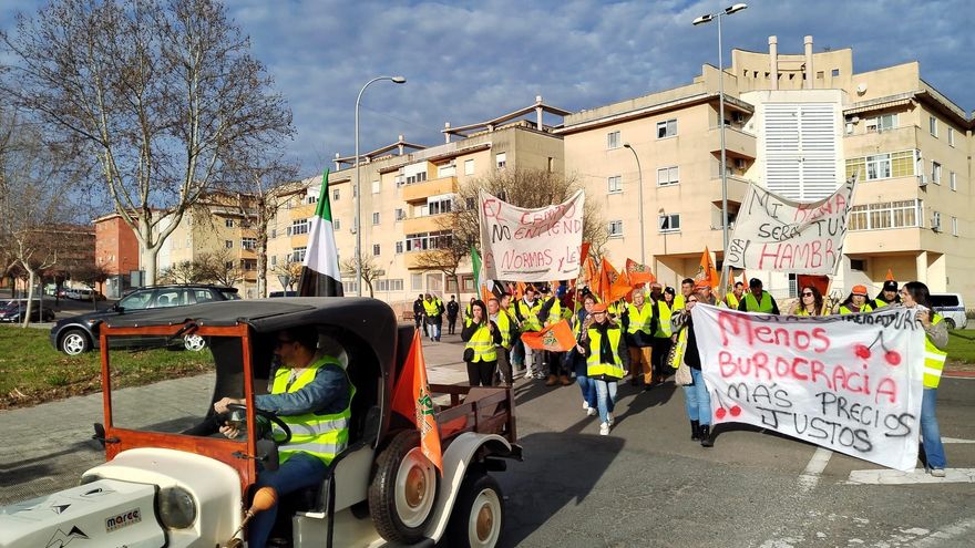 Manifestantes en Plasencia se dirigen al centro comercial Carreforur