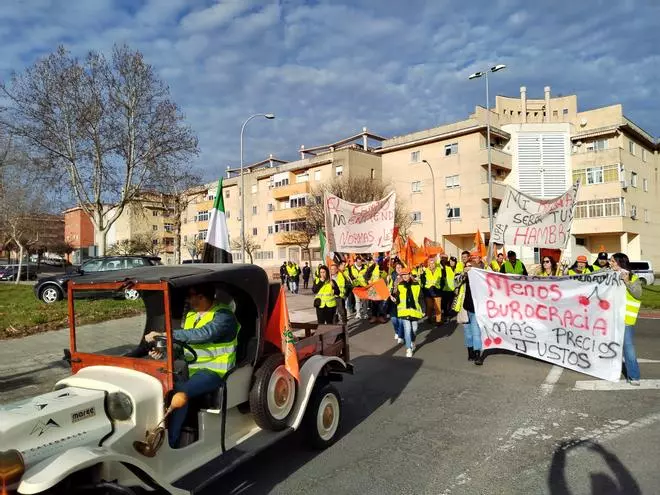 Manifestantes en Plasencia se dirigen al centro comercial Carreforur