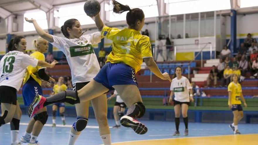 Balonmano: Rocasa - Elche