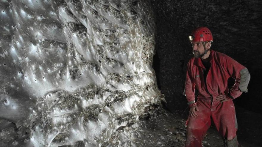 Descubren en una cueva una telaraña gigante de 106 metros cuadrados con 110.000 arañas
