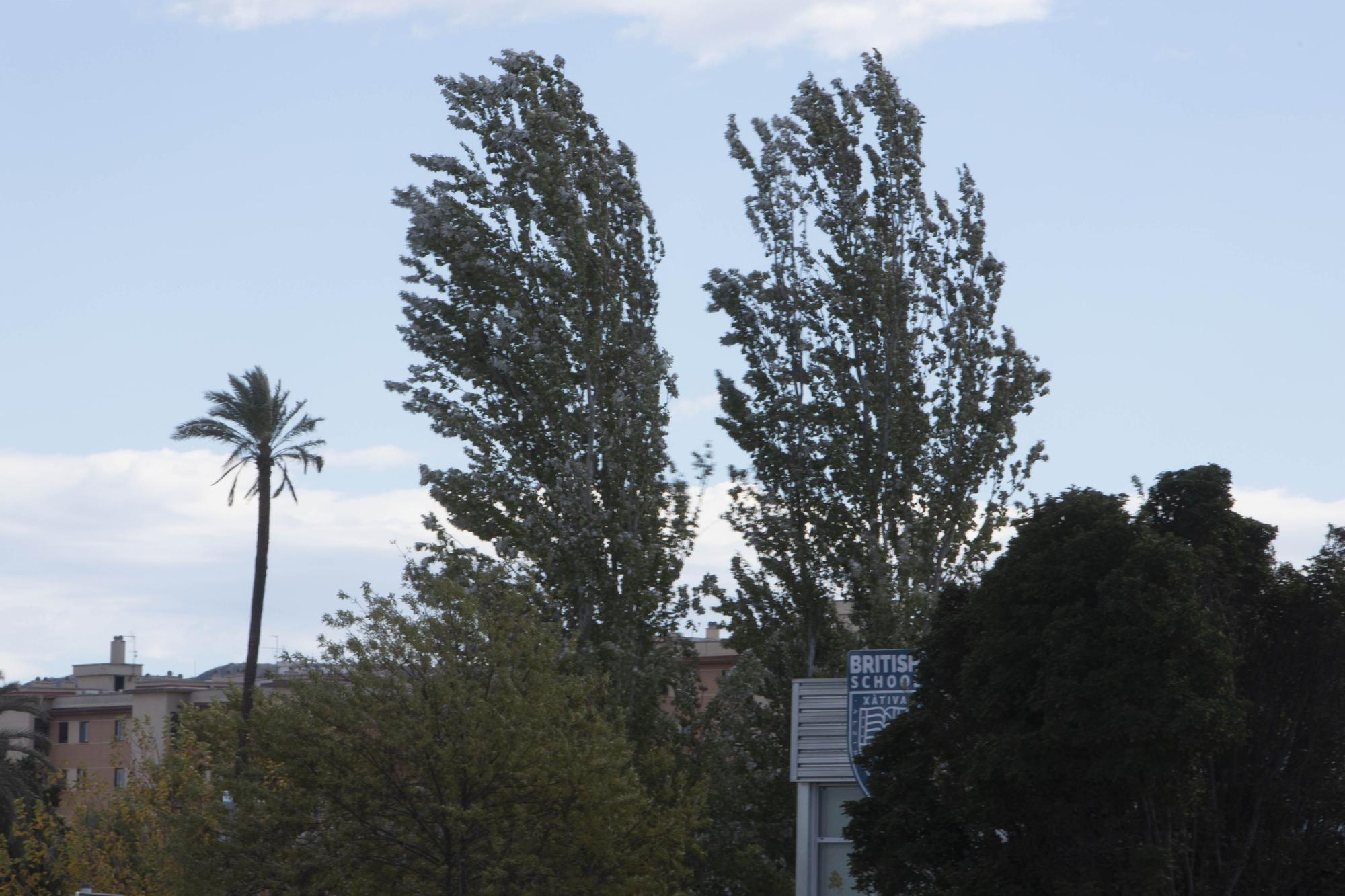 El viento azota con fuerza en Xàtiva