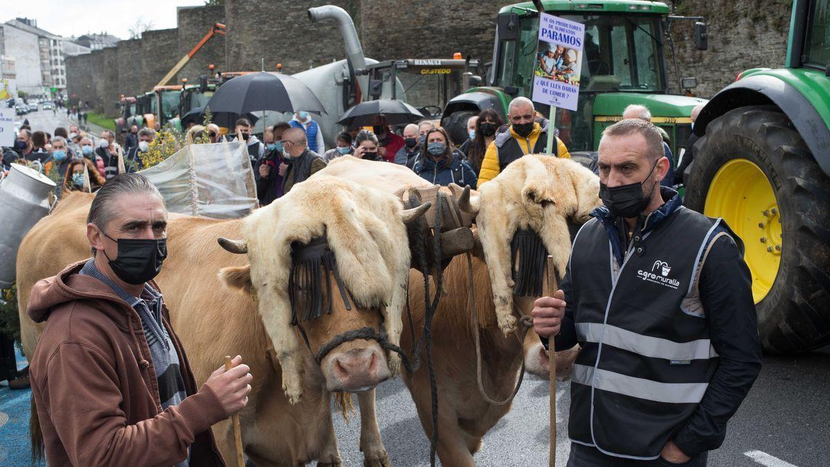 Tractorada en Lugo contra los bajos precios de la leche.