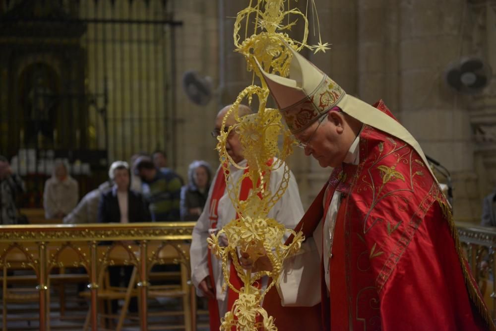 Domingo de Ramos en Murcia