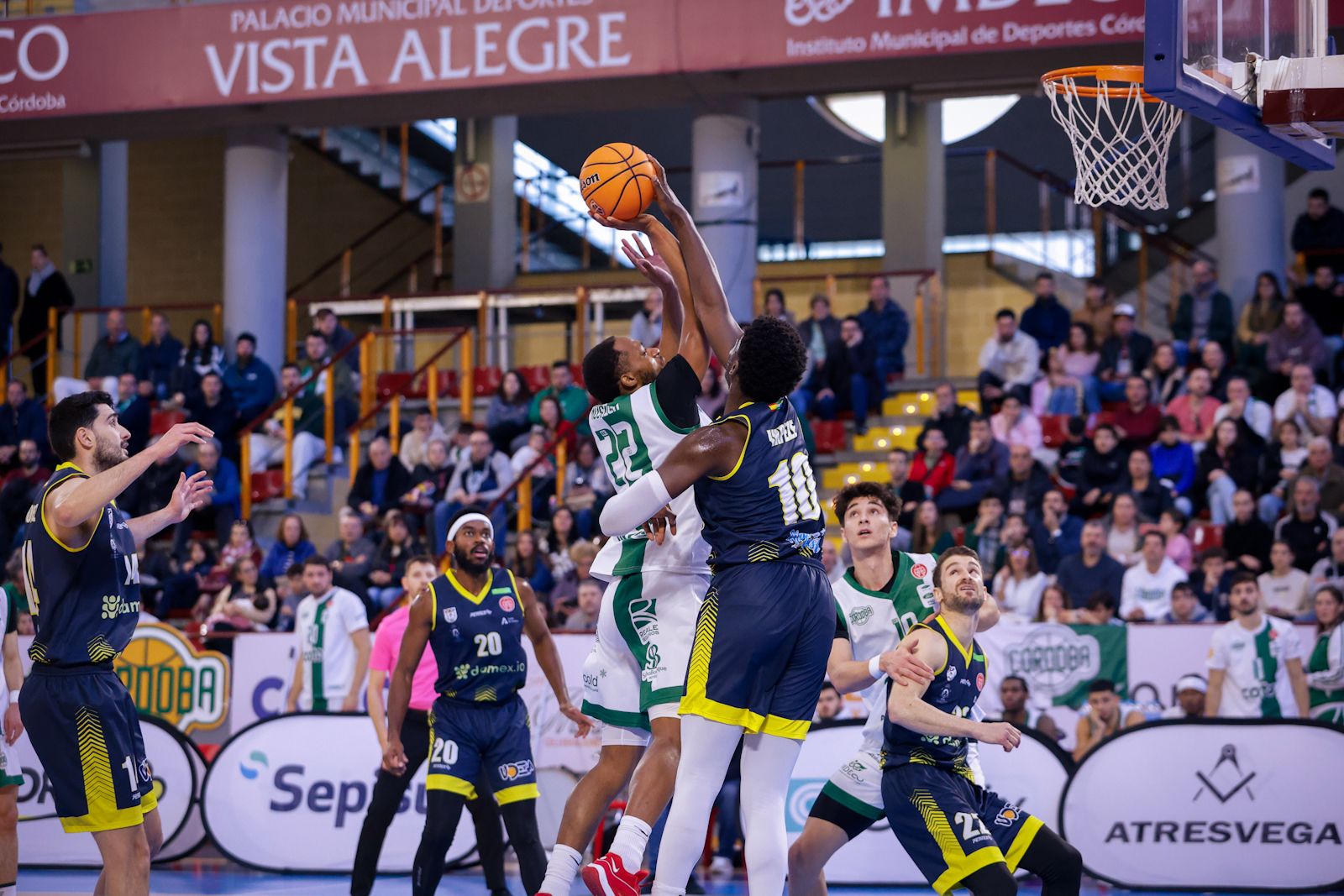 Coto Córdoba Baloncesto - Algeciras | Las imágenes del partido en Vista Alegre