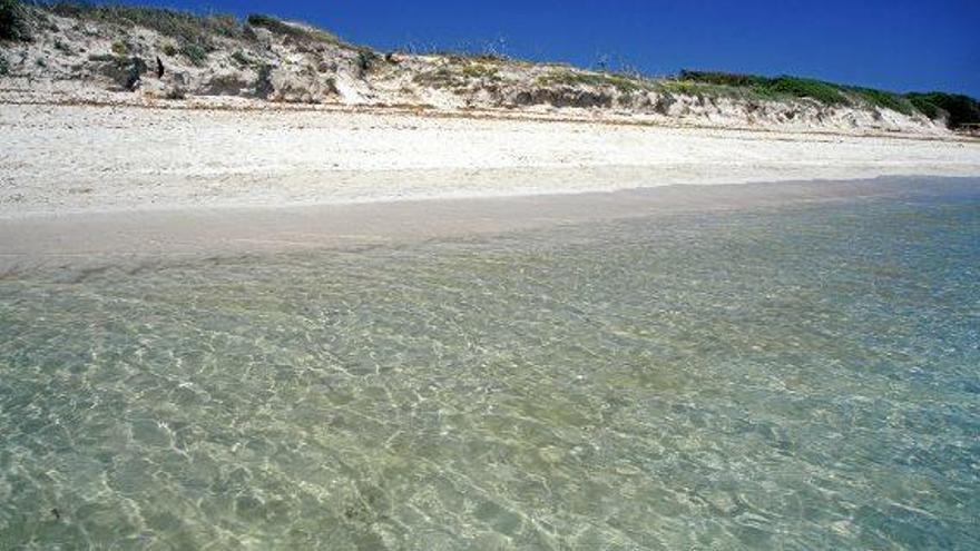 Platz 2 im Ranking: Blick auf die Playa de Muro