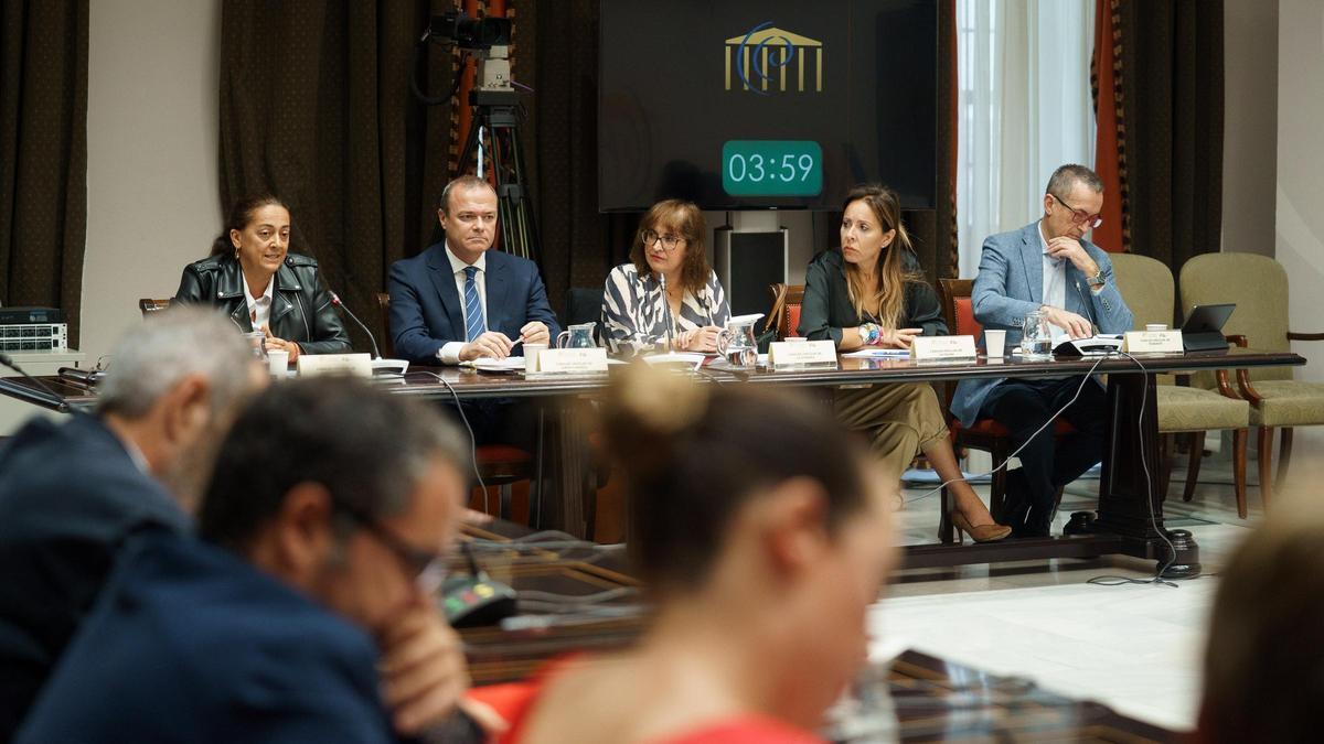 Un instante de la Comisión General de Cabildos celebrada ayer en el Parlamento de Canarias.