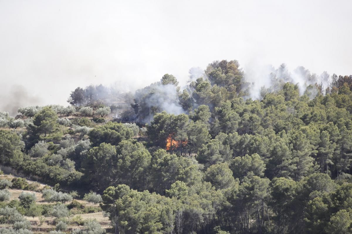 Incendio en la Serra Calderona