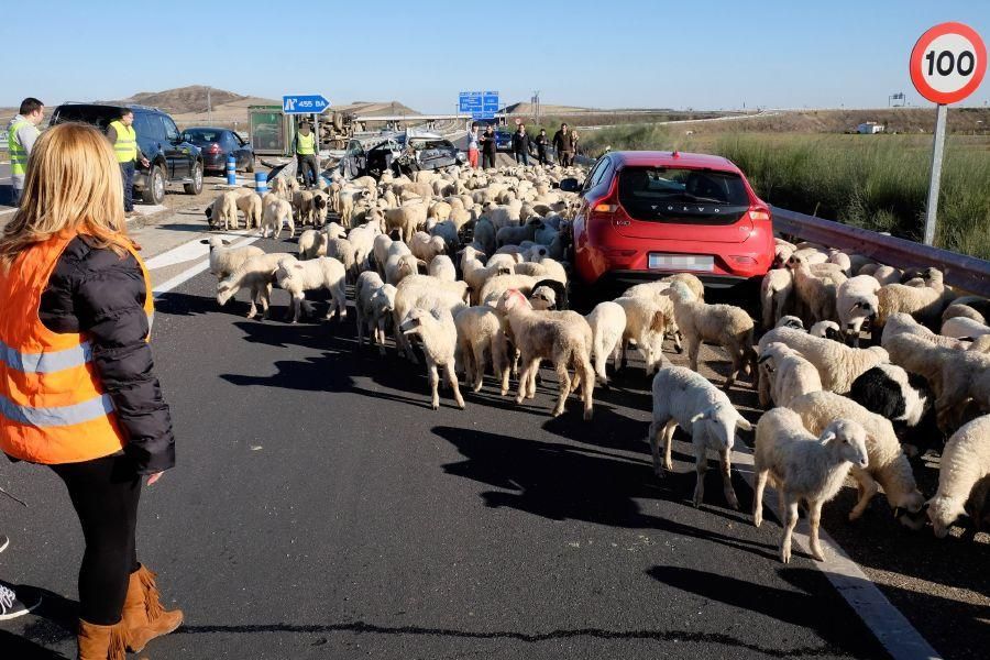 Accidente en la A-11