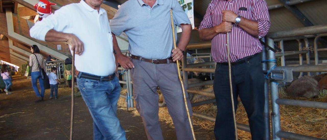 Por la izquierda, Juan Bautista Gutiérrez, Manuel Valle y Antonio Fernández, ayer, en el mercado nacional de ganados de Pola de Siero.