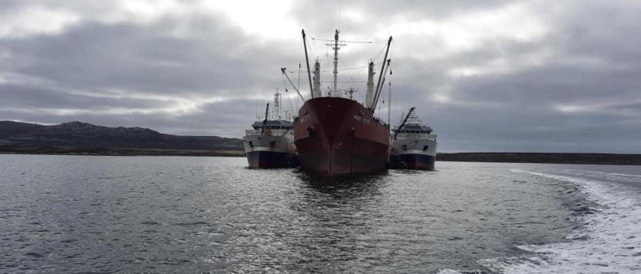 Dos de los arrastreros descargando frente a Stanley, en Malvinas, el pasado mes. | CRAIG THAIN