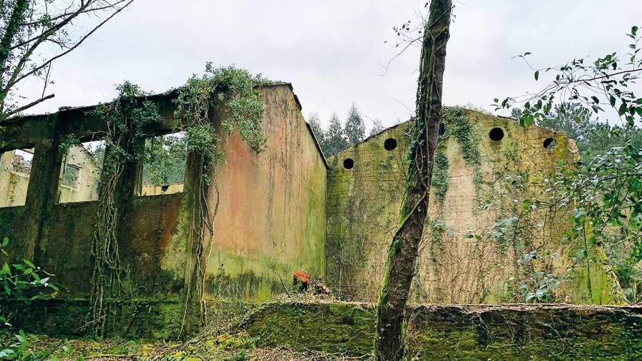 Así son las ruinas de las cinco antiguas fábricas de papel de Brandía