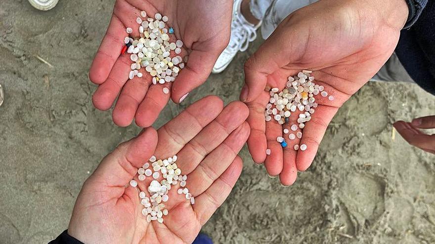 Observadores del mar, las manos y ojos de los científicos