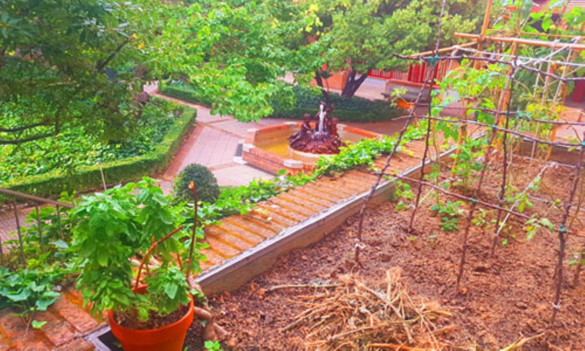 Durante siglos, las religiosas utilizaron este espacio para cultivar hortalizas y árboles frutales destinados a la vida cotidiana del convento