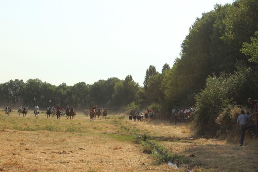 Fiestas en Zamora: Villamor de los Escuderos